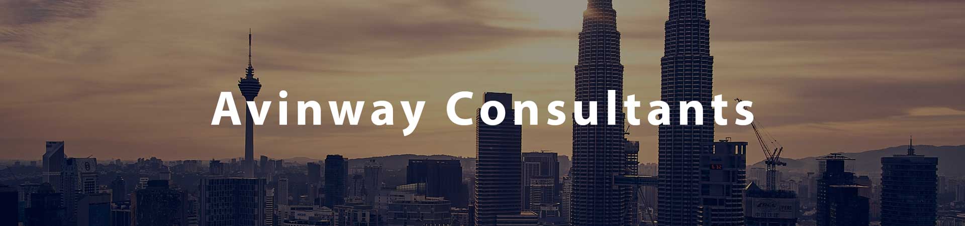 avinway consultants header 01